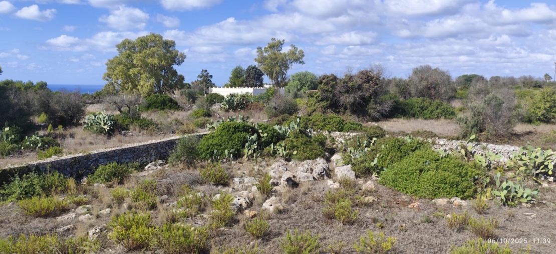 Morciano di leuca, 3 Stanze Stanze,1 BagnoBathrooms,Villa,In Vendita,1314