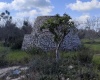 Casale,In Vendita,1315