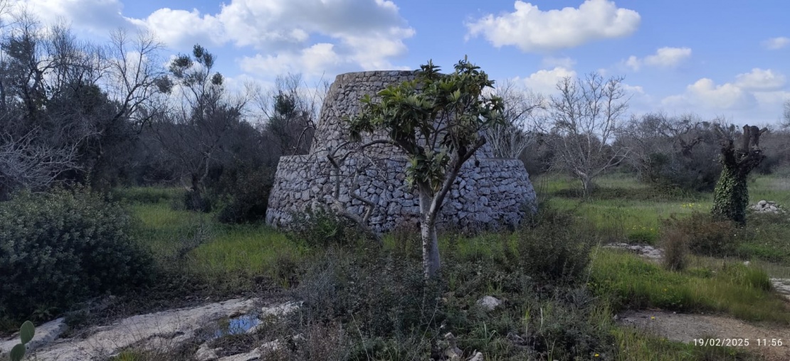 Casale,In Vendita,1315