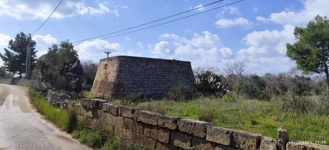Casale,In Vendita,1315