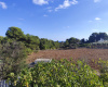 Casale,In Vendita,0,897285 Casale,In Vendita,0,897285