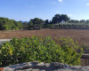 Casale,In Vendita,0,897285 Casale,In Vendita,0,897285