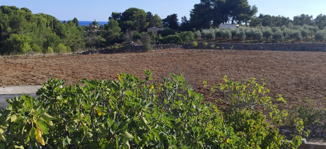 Casale,In Vendita,0,897285 Casale,In Vendita,0,897285