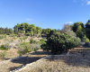 Casale,In Vendita,0,897285 Casale,In Vendita,0,897285