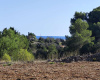Casale,In Vendita,0,897285 Casale,In Vendita,0,897285