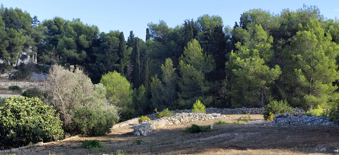 Casale,In Vendita,0,897285 Casale,In Vendita,0,897285