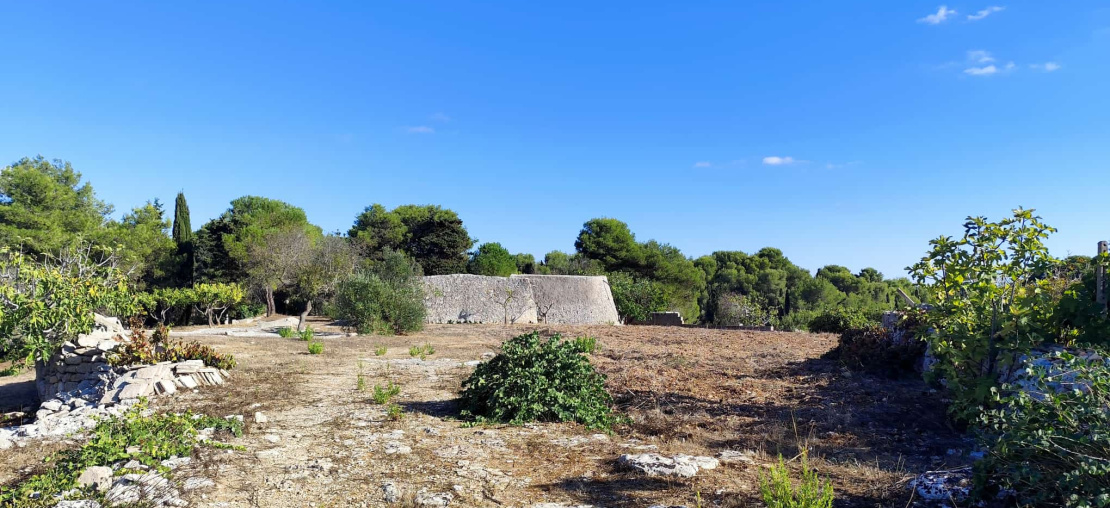 Casale,In Vendita,0,897285 Casale,In Vendita,0,897285