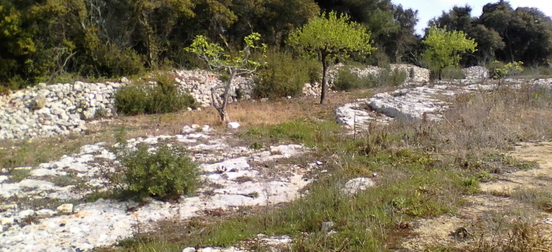 Morciano di Leuca, ,Edificabile,In Vendita,1053