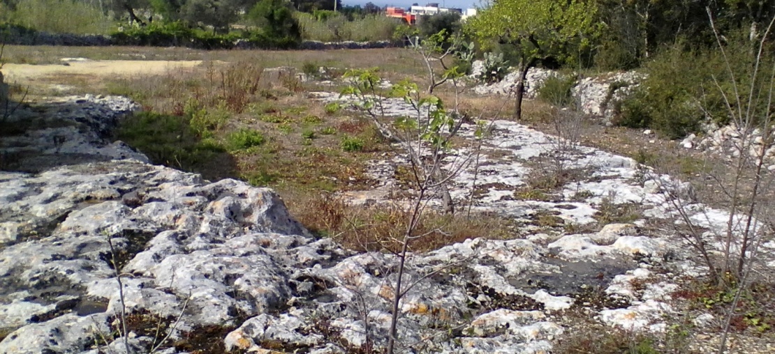 Morciano di Leuca, ,Edificabile,In Vendita,1053